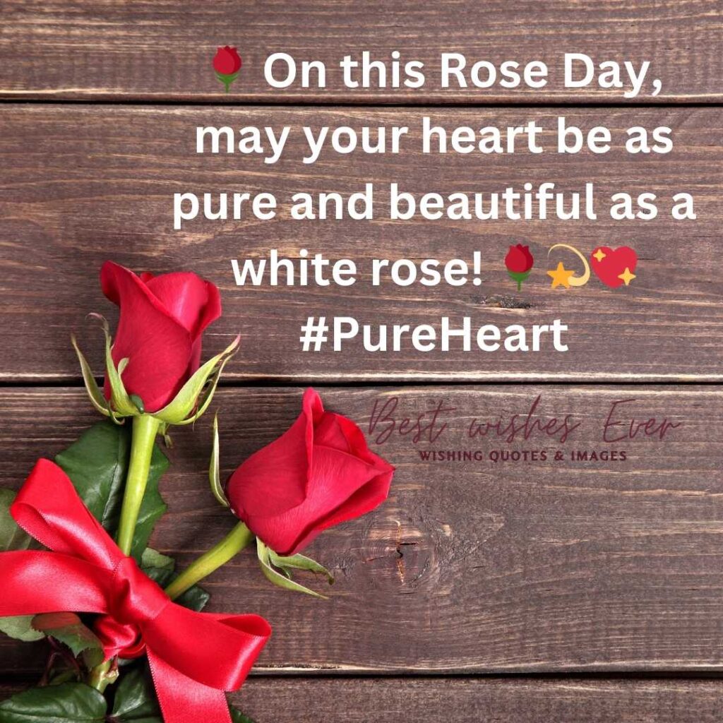 Rose Day wishes