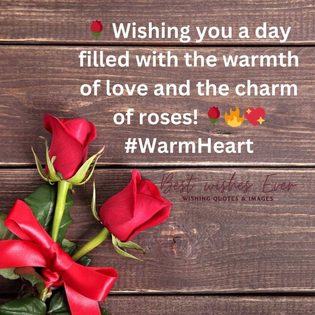 Rose Day wishes