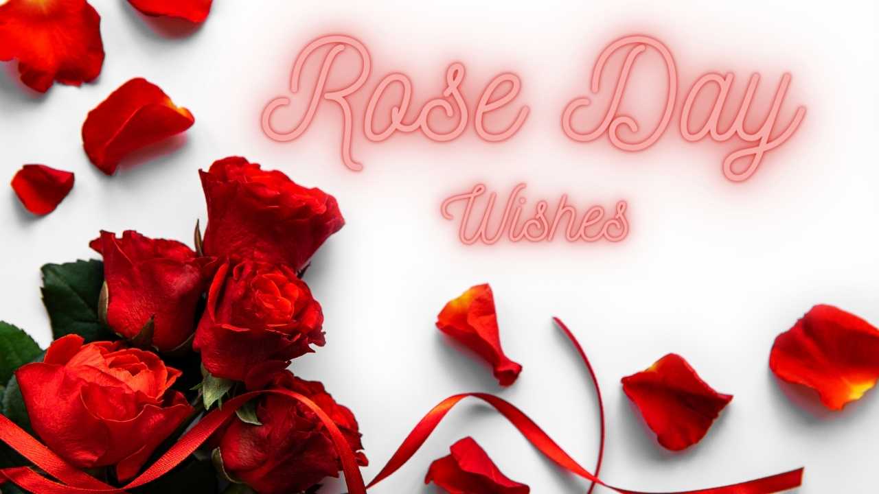 Happy Rose Day wishes & Quotes