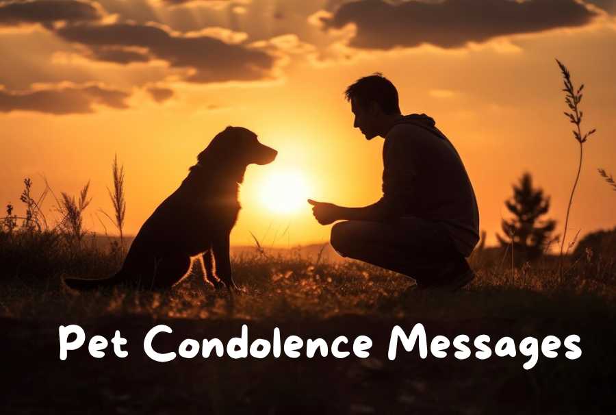 Pet Condolence Messages