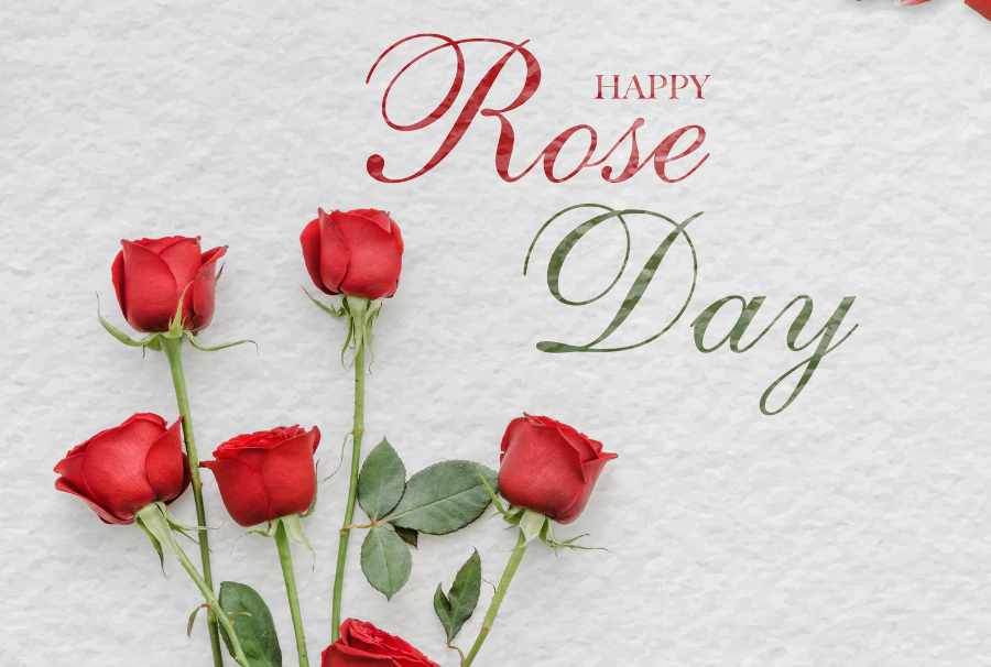 Rose Day Special Quotes