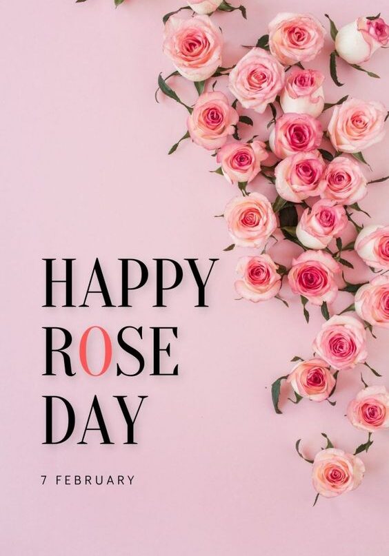 Rose Day Quotes images