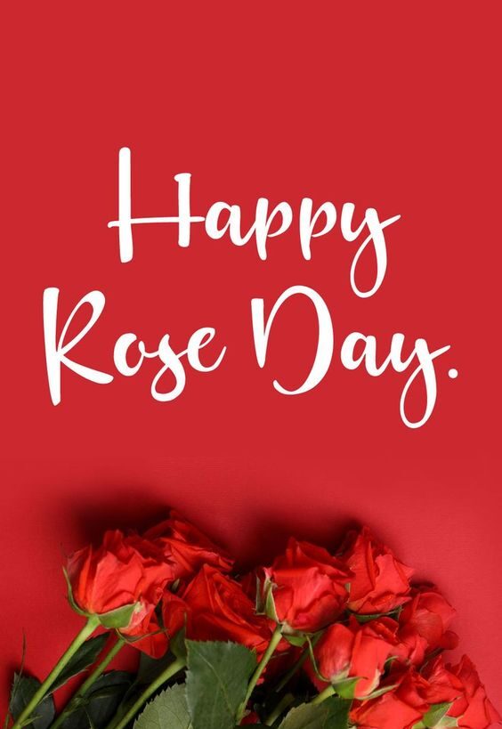 Rose Day Quotes images